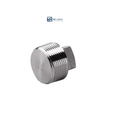 Silver Coated WZ Stainless Steel 304 316 316L High Pressure Forged Square Plug NPT BSPT