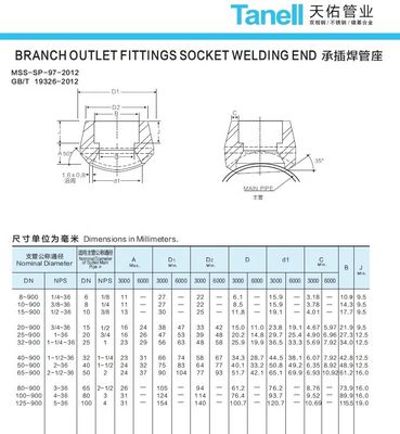 1/4''--4.0'' Stainless Steel 316L ASTM A105 Class 3000 Carbon Steel Pipe Fitting