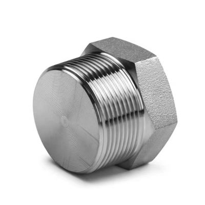 Silver Forged High Pressure NPT Male Hex Plug For Stainless Steel 304 316 316L