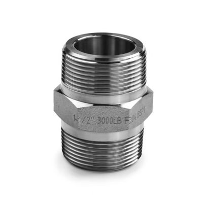 SS304 316 316L High Pressure Forged Hex Nipple 300 bar Male Thread Equal/Reducing Nipple