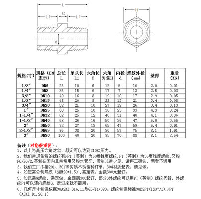 SS304 316 316L High Pressure Forged Hex Nipple 300 bar Male Thread Equal/Reducing Nipple