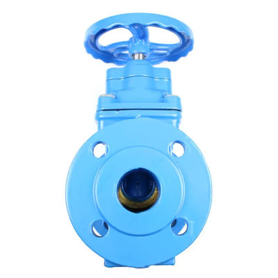 Hexagon Head PN10 PN16 Soft Seal Flange Ductile Iron Gate Valve