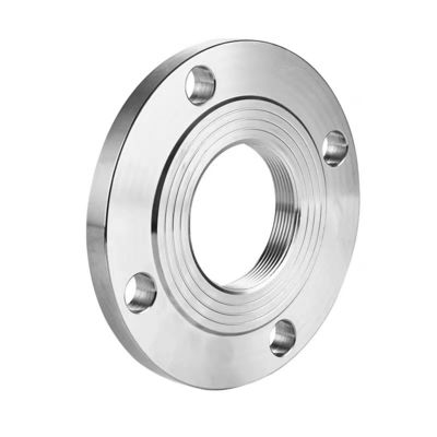 PN6 Stainless Steel 304 316 Seamless Ring Rolled Flange DIN 3A for Chemical Industry