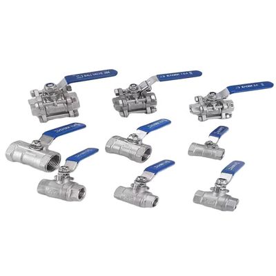Stainless Steel 304 Butterfly Valve with Blue Trigger Handle and Tri Clamp Clover