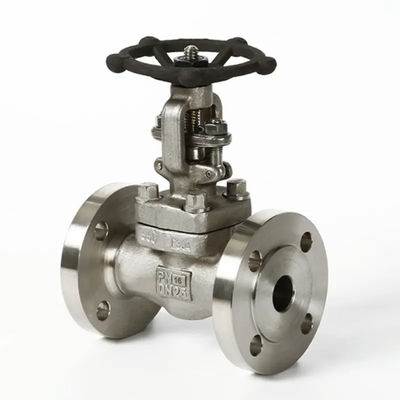 Manual Gate Valve Stainless Steel Flange Manual Operation 1''-8'' for Oil or Water