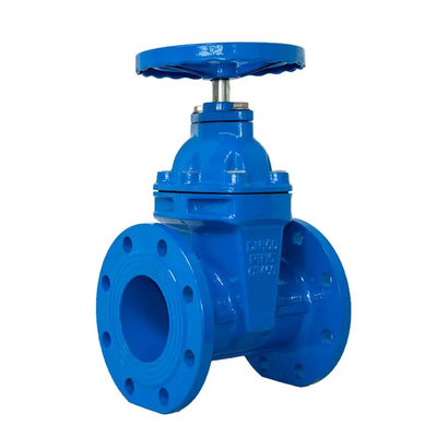 Manual Gate Valve Stainless Steel Flange Manual Operation 1''-8'' for Oil or Water