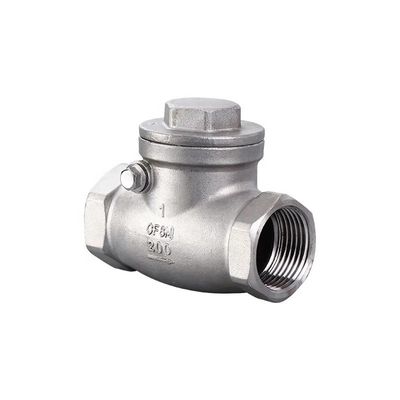 Cylindrical Head Code 316 Stainless Steel 201 304 Check Valve Npt Bsp Thread Spring Load