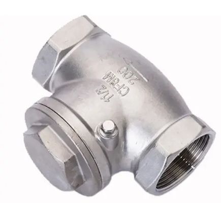 Cylindrical Head Code 316 Stainless Steel 201 304 Check Valve Npt Bsp Thread Spring Load