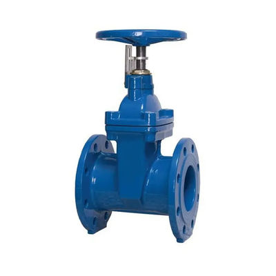 Durable Stainless Steel 301/304/316 Gate Valve with Extension Spindle and Rising Stem