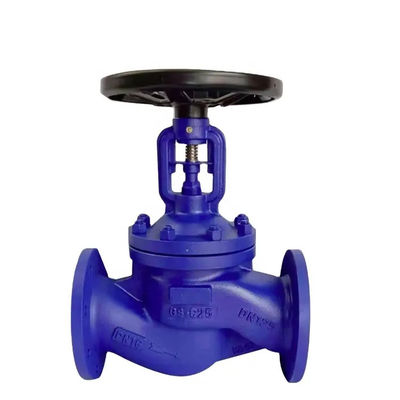 Hexagon Head Code Ductile Iron Cast Steel Bellows Seal Flanged Globe Valves