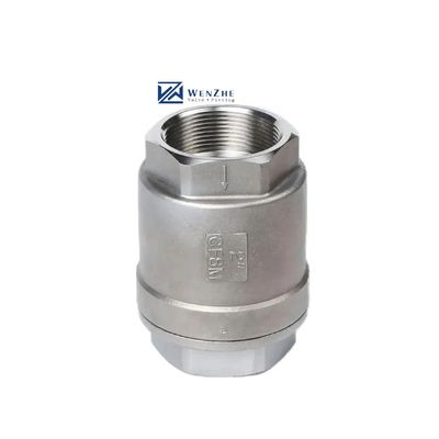 H12W-16P Vertical Spring Check Valve for Customized Multi-Size Stainless Steel Wire Port