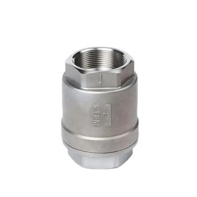 H12W-16P Vertical Spring Check Valve for Customized Multi-Size Stainless Steel Wire Port