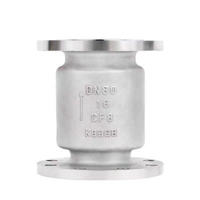 ANSI Stainless Steel Swing Non Return Check Valve DN 250mm Pn 16atm L 115 mm Standard