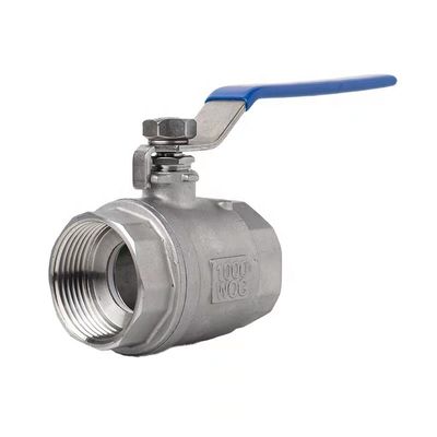 WZ Stainless Steel SS 304 316 NPT BSP Threaded 2PC Ball Valve Customized for Longevity