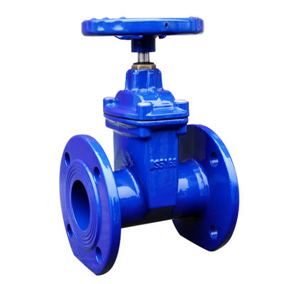 Standard Casting Stainless Steel Gate Valve with ANSI JIS DIN GB Standard Design