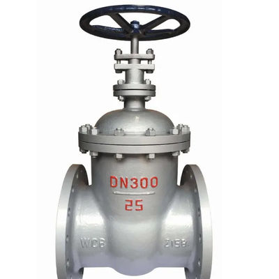 Standard Casting Stainless Steel Gate Valve with ANSI JIS DIN GB Standard Design