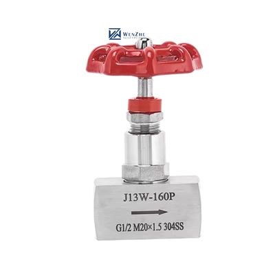 High Pressure 1/2" DN15 J13W-160P Forged Stainless Steel 304 316 316L Needle Valve