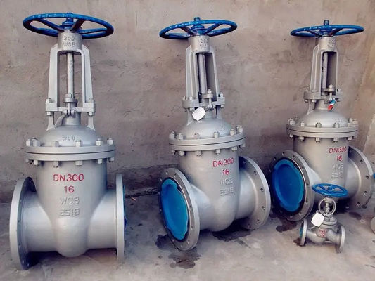 Standard Casting Stainless Steel Gate Valve with ANSI JIS DIN GB Standard Design