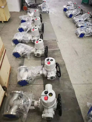 Multi-turn Electric Actuated Globe Valve for WZ AC220 AC380V 660V Cast Iron Control