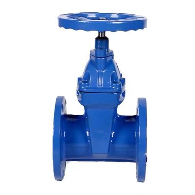 Cylindrical Head Code Custom Casting Steel Manual Valve Ductile Iron Gate Valve