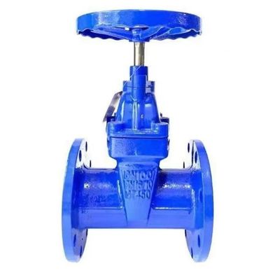 Cylindrical Head Code Custom Casting Steel Manual Valve Ductile Iron Gate Valve