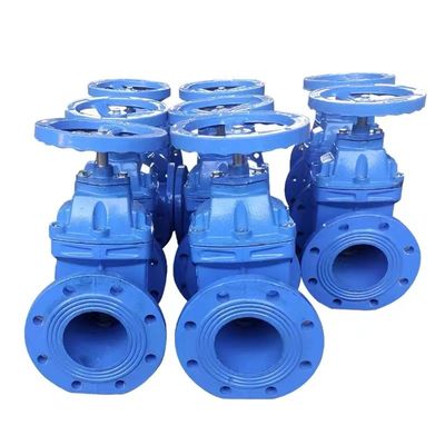 Cylindrical Head Code Custom Casting Steel Manual Valve Ductile Iron Gate Valve