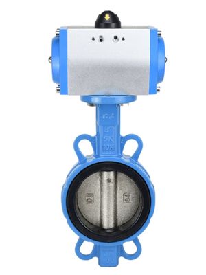 1/4''-6'' Port Size Sanitary Pneumatic Butterfly Valves with SS304 /316L Construction