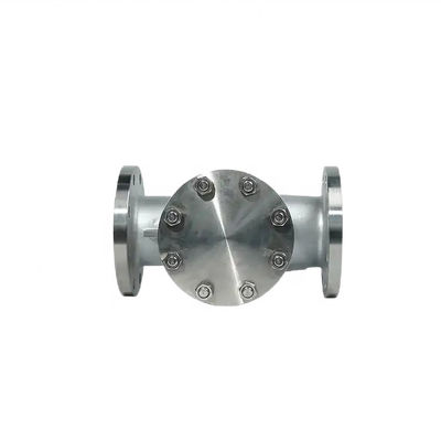 Flanged Lift Check Valve Silver Stainless Steel 304 316 316L PN16 PN25 PN40 PN64 PN100