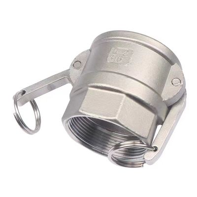 Equal SS 304 316 Stainless steel Camlock Coupling of Type D quick connector NPT BSPT BSP