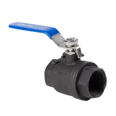 SS304 316 316L 1000WOG WCB High Pressure Ball Valve with Cylindrical Head Q11F-16